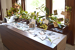 MEET ME AT THE COURT HOUSE